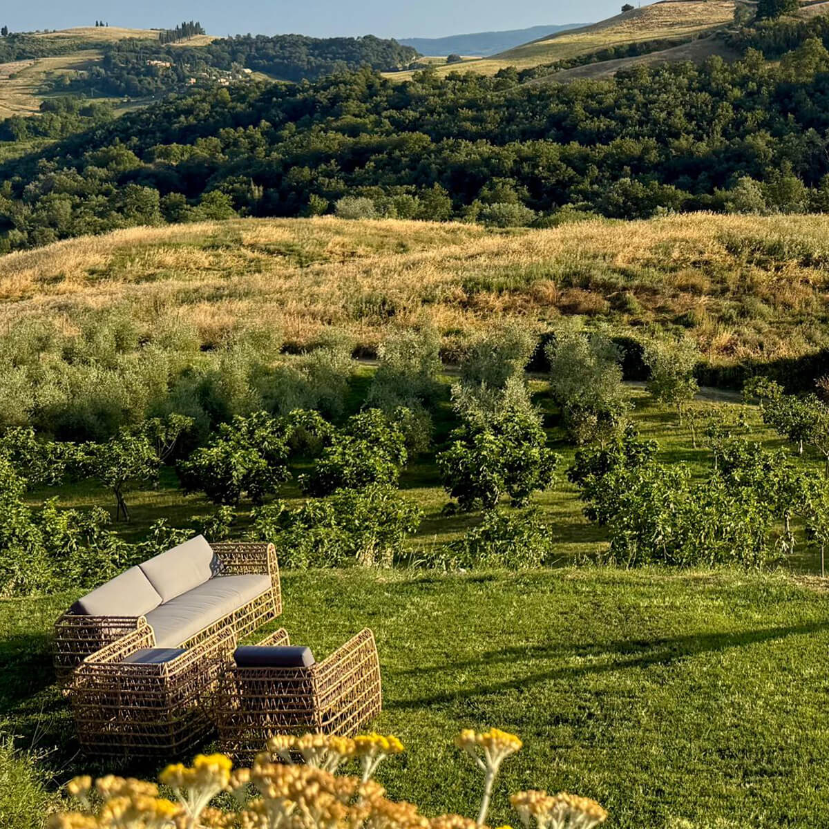 giardino