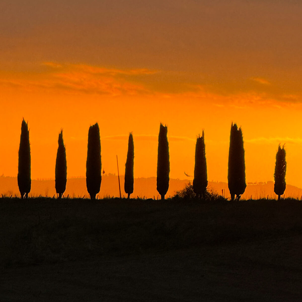 tramonto 2